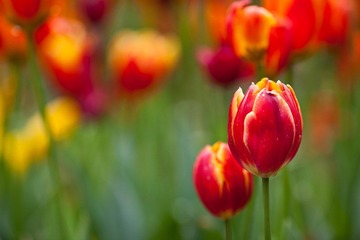 20120301-IMG_4887.jpg