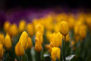 20120301-IMG_4932.jpg