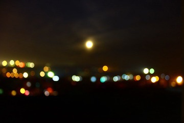 IMG_5310.JPG