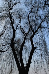 IMG_5664副本.jpg