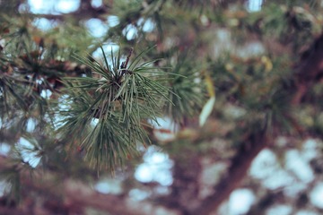 IMG_5695.JPG