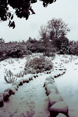 IMG_5989副本.jpg