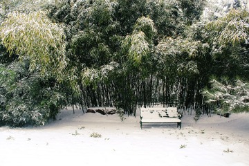 IMG_597900副本.jpg