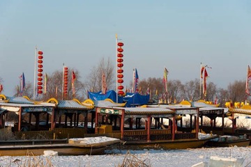 _DSC5066.jpg