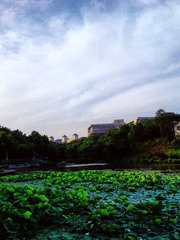DSC04192 副本.JPG