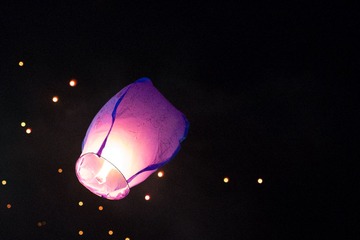 IMG_2525.jpg
