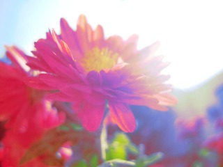 DSCN9936a副本.jpg