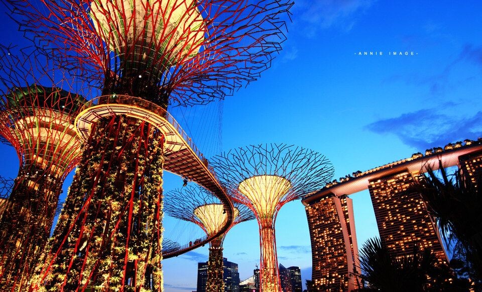 新景观！-3<br />
新景观！新加坡滨海南花园，巨大的人造太阳能树，当夜幕降临下来的时候，灯都开的话就会出现阿凡达世界一般的超现实感受。不过，千万不要白天去，白天不开灯，蛮丑的。