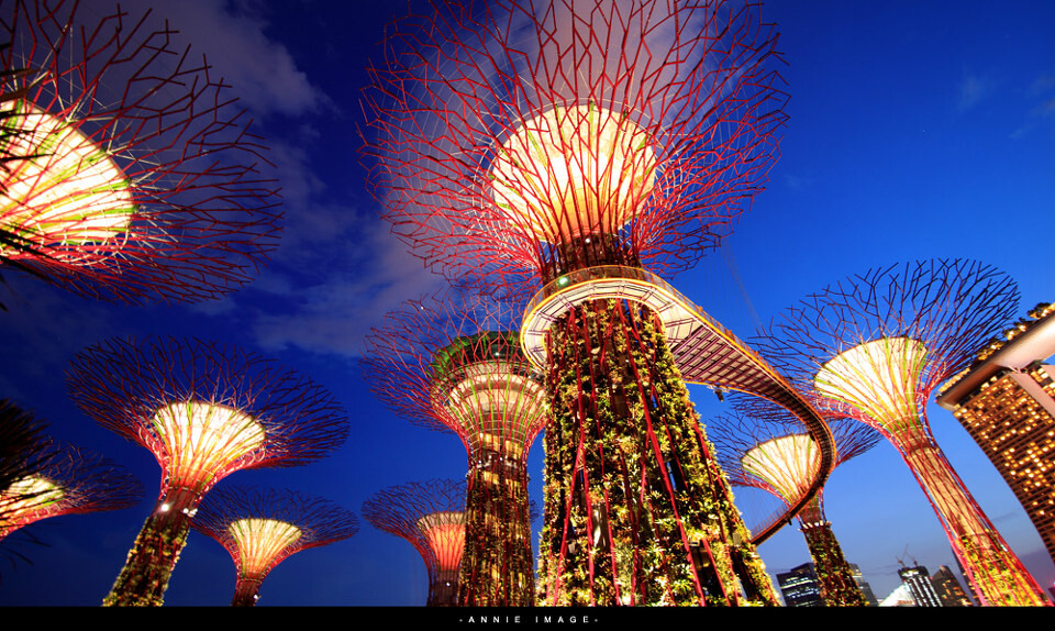 新景观！-2<br />
新景观！新加坡滨海南花园，巨大的人造太阳能树，当夜幕降临下来的时候，灯都开的话就会出现阿凡达世界一般的超现实感受。不过，千万不要白天去，白天不开灯，蛮丑的。