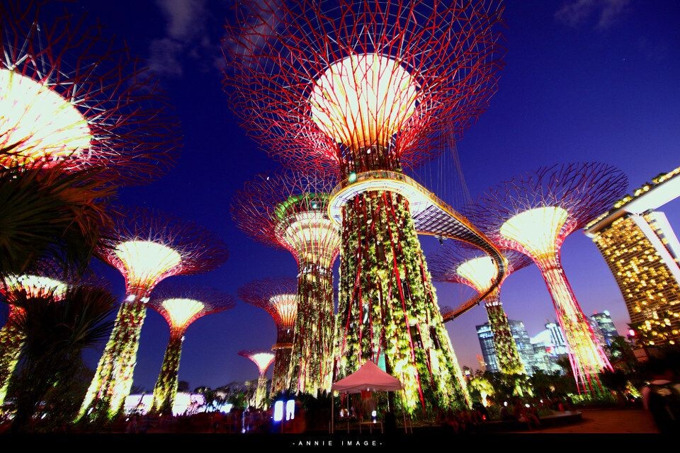 新景观！-6<br />
新景观！新加坡滨海南花园，巨大的人造太阳能树，当夜幕降临下来的时候，灯都开的话就会出现阿凡达世界一般的超现实感受。不过，千万不要白天去，白天不开灯，蛮丑的。