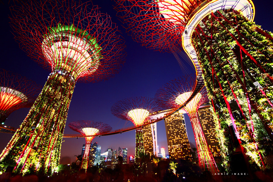 新景观！-5<br />
新景观！新加坡滨海南花园，巨大的人造太阳能树，当夜幕降临下来的时候，灯都开的话就会出现阿凡达世界一般的超现实感受。不过，千万不要白天去，白天不开灯，蛮丑的。