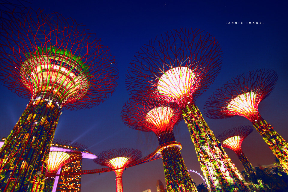 新景观！-8<br />
新景观！新加坡滨海南花园，巨大的人造太阳能树，当夜幕降临下来的时候，灯都开的话就会出现阿凡达世界一般的超现实感受。不过，千万不要白天去，白天不开灯，蛮丑的。