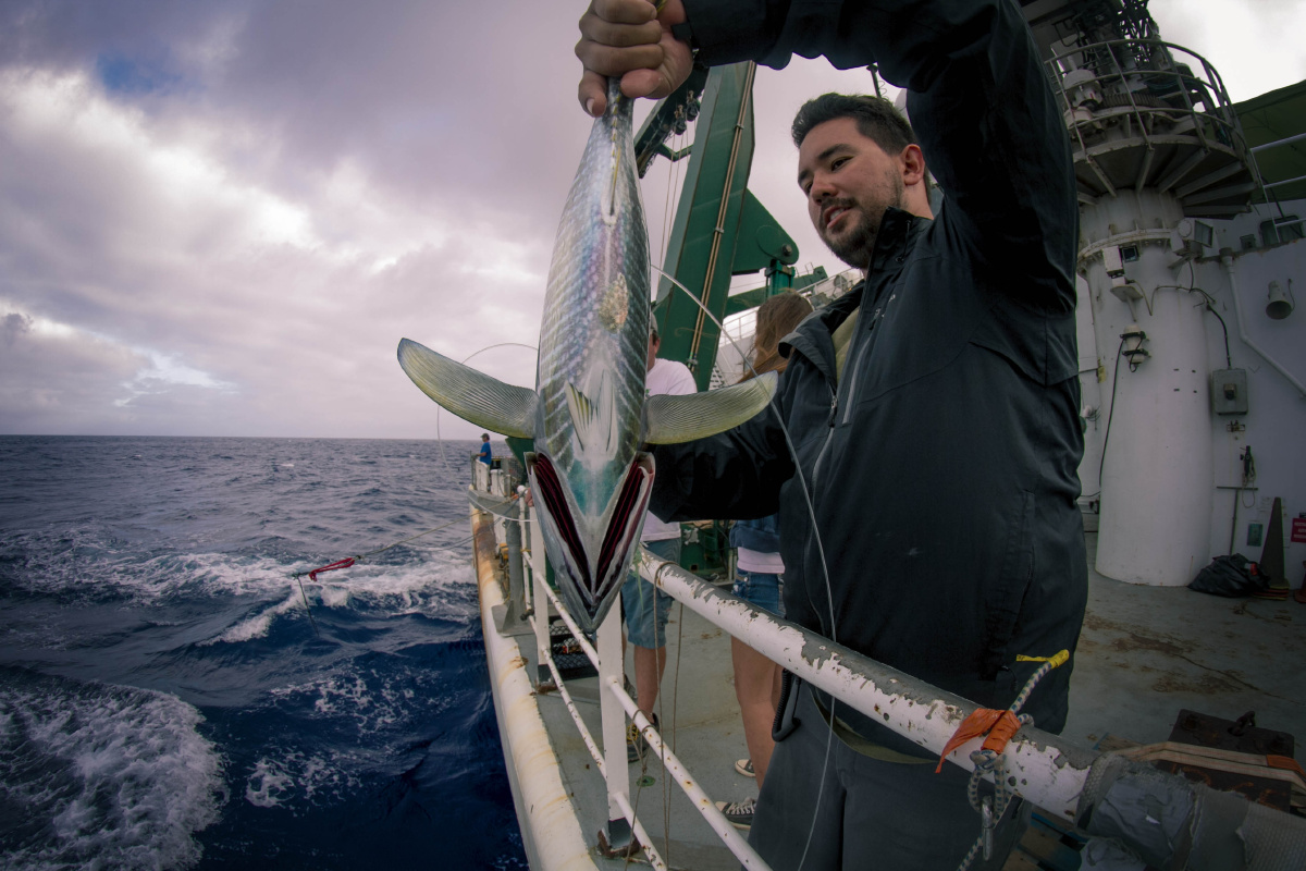 夏威夷无责任乱片