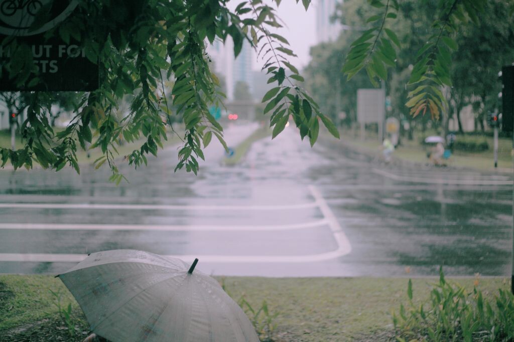 新加坡的雨一般都是豪雨，很少见到这么细的雨呢。真美！忍不住发了单张。岁月会厚待温柔多情的人，好过一颗冷漠的心~