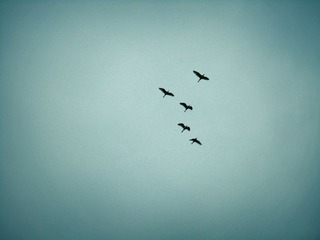 空