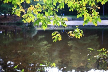 IMG_0387.JPG