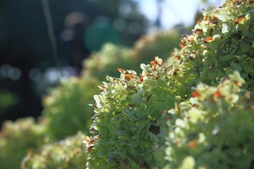 IMG_0476.JPG
