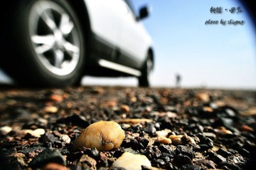 DSC_1113.jpg