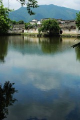 DSC_7101.JPG