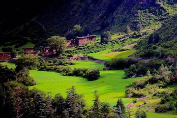 IMG_9076--
