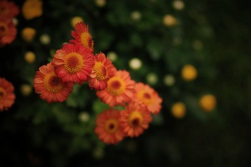 IMG_3667--.jpg