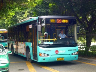 P1000524.jpg