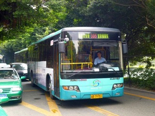 P1000531.jpg