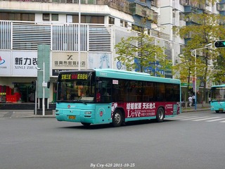 P1000204.jpg