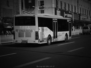 P1010393.jpg