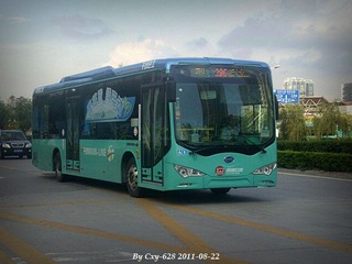 P8225199.jpg