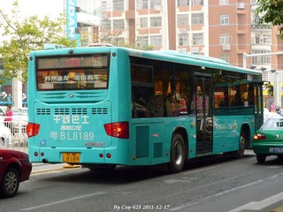 P1010835.jpg