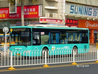 P1020142.jpg