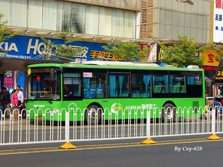 P1020166.jpg