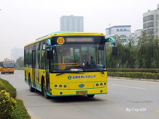 P1020506.jpg