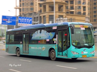 P1020457.jpg