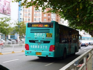 P1030750.jpg