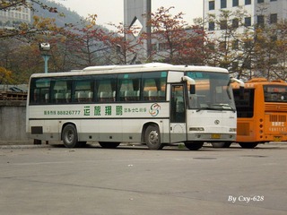 P3105532.jpg