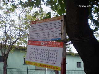 P3105543.jpg