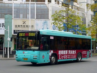 P1000204.jpg