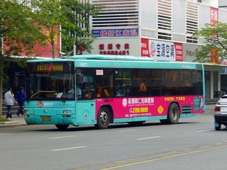 P1010496.jpg