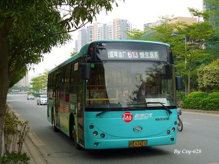 P1040526.jpg