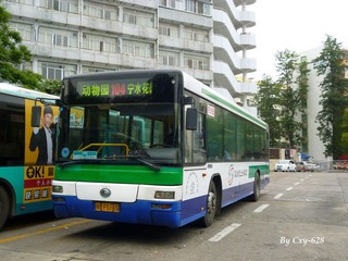 P1040723.jpg