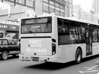 P1010505.jpg