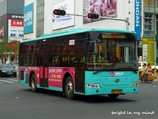 P1010525.jpg