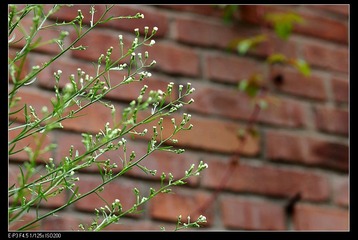 P7210054