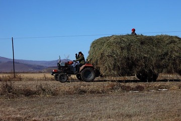IMG_8044.JPG