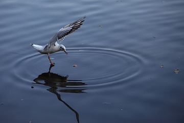 IMG_8772.JPG