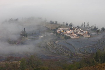 IMG_9981.JPG