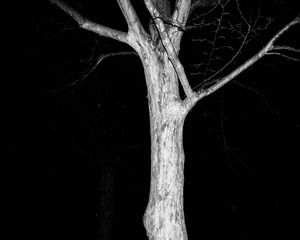 Scan-160128-0068
