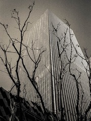 Scan-160502-0023